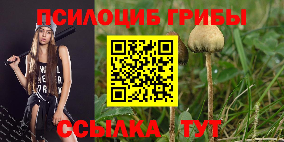 Керчь  купить наркотик  Вход с VPN  Галлюциногенные грибы GOLDEN TEACHER 
